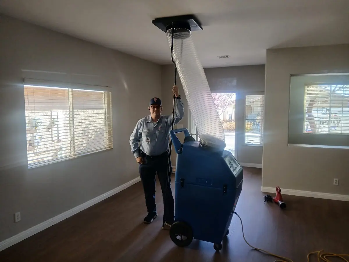 Professional Dryer Vent Cleaning work inside a Arvin home
